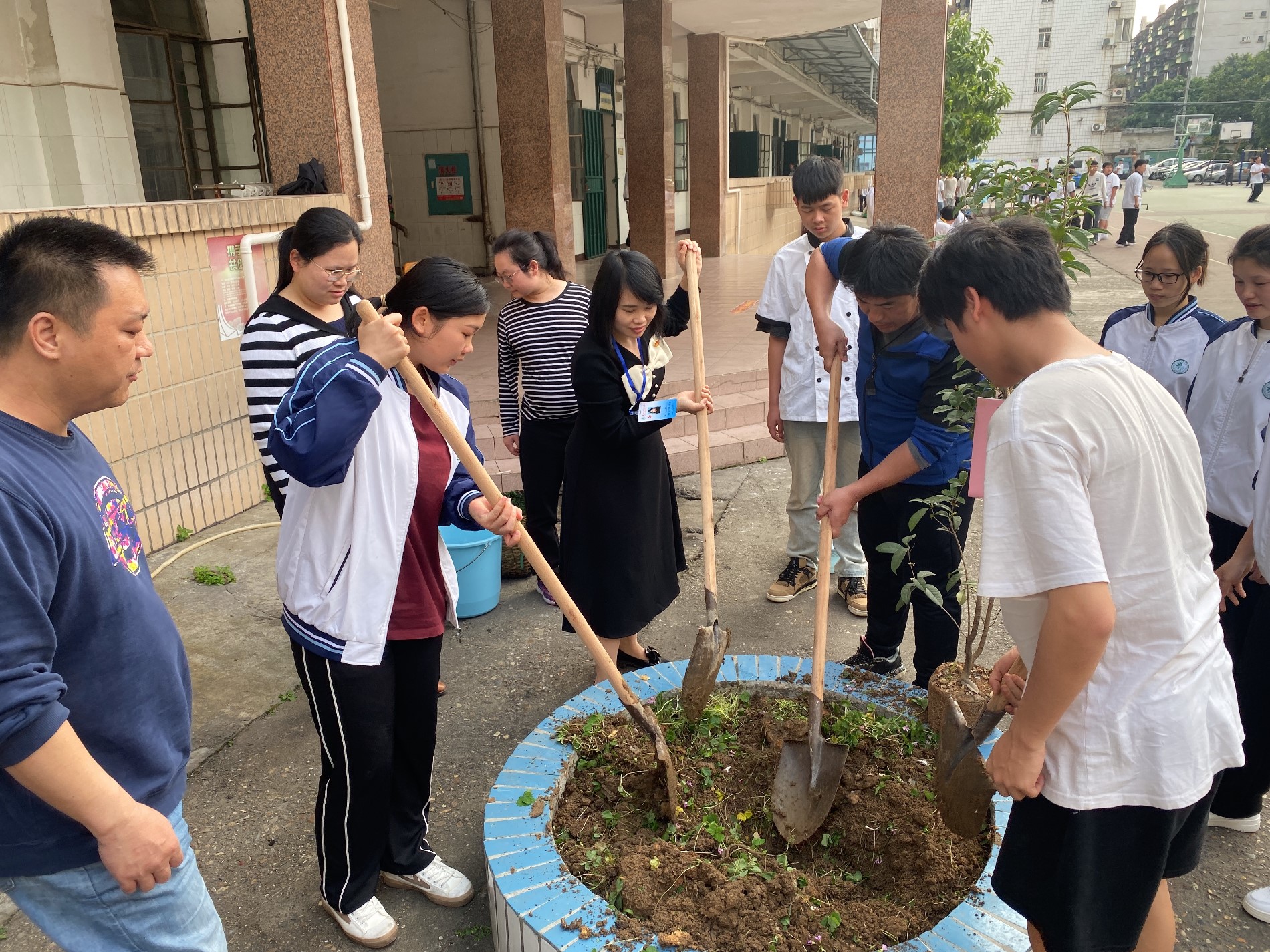 师生共植弘德树.jpg