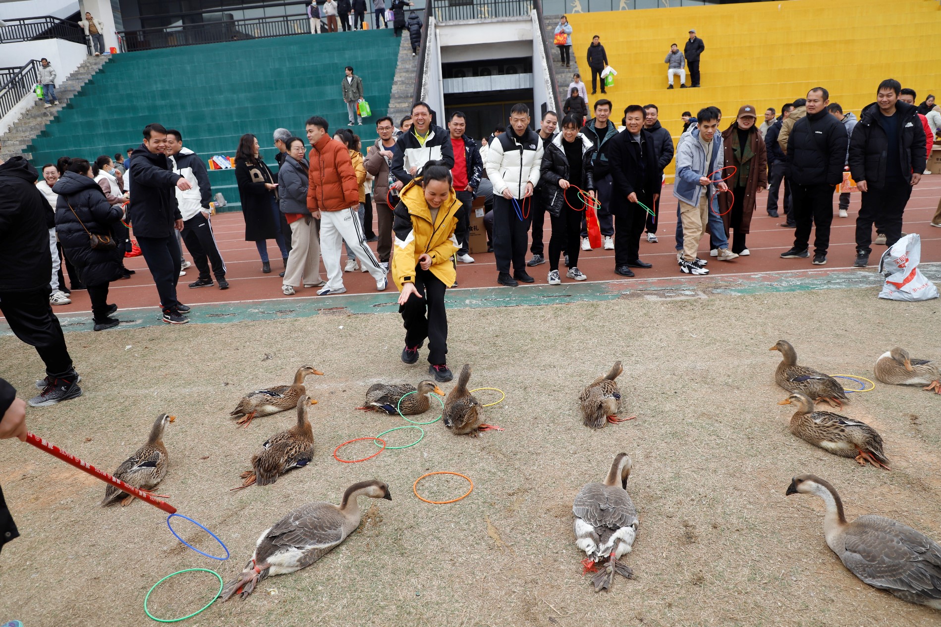 _MG_1341.JPG _MG_1341.JPG